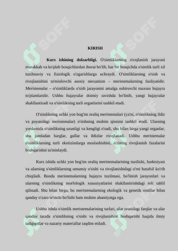 Uchki yon bo`g`im oralig`i meristemalari 3