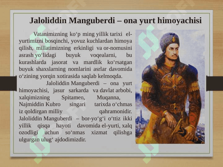 Jaloliddin Manguberdi - Vatan himoyachisi 6