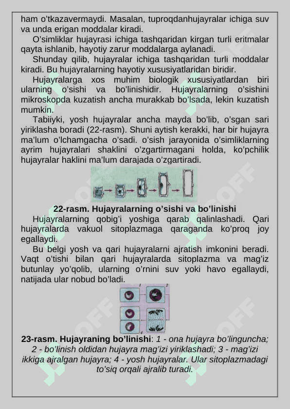 HUJAYRALARNING HAYOTIY FAOLIYATI 2