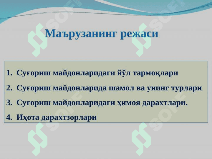 Суғориш тизимидаги йўл тармоқлари ва ҳимоя дарахтлари 3