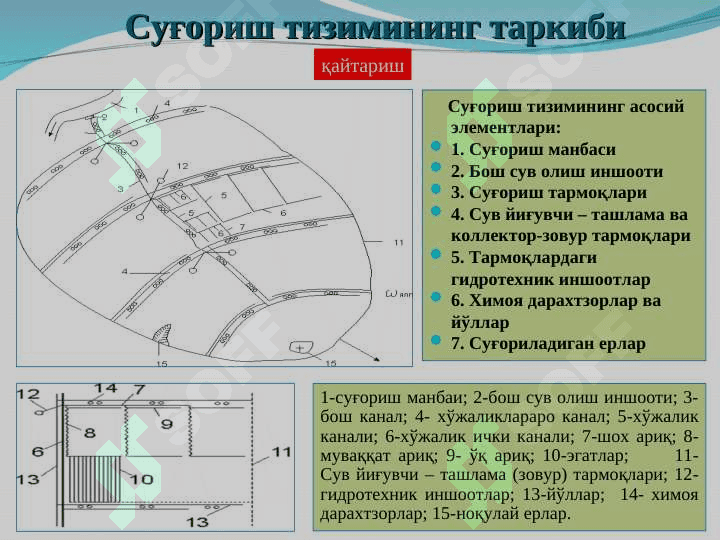 Суғориш тизимидаги йўл тармоқлари ва ҳимоя дарахтлари 4