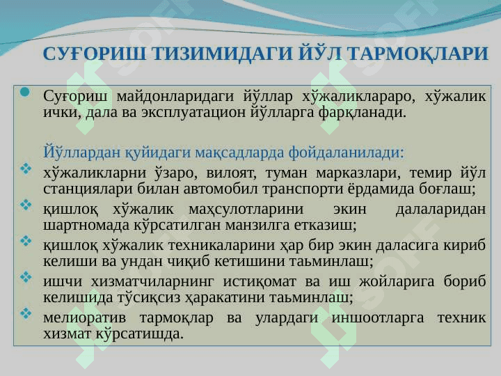 Суғориш тизимидаги йўл тармоқлари ва ҳимоя дарахтлари 5