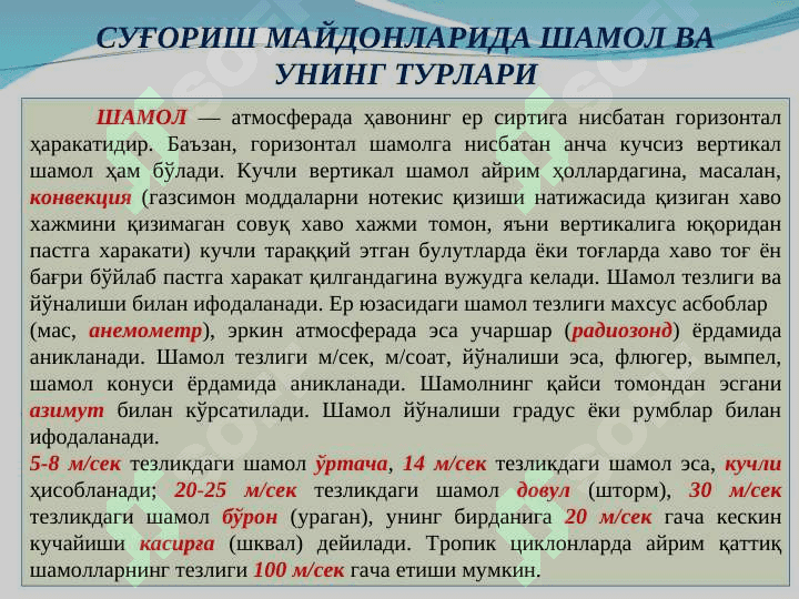 Суғориш тизимидаги йўл тармоқлари ва ҳимоя дарахтлари 7