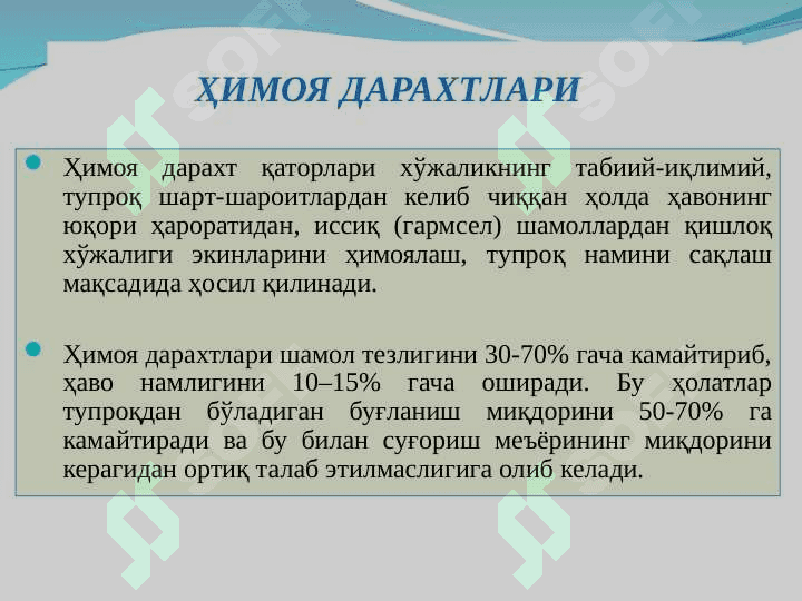 Суғориш тизимидаги йўл тармоқлари ва ҳимоя дарахтлари 8