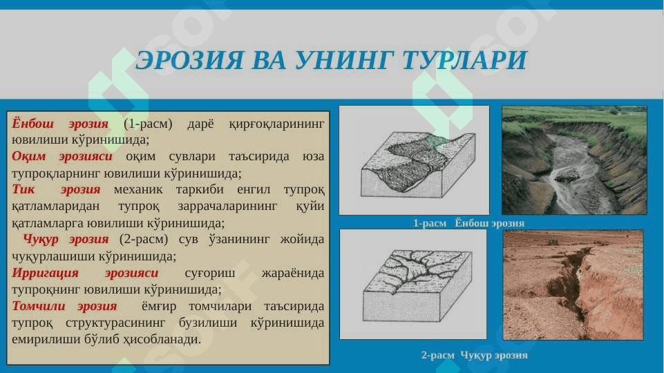 Табиий ва сунъий эрозия 3