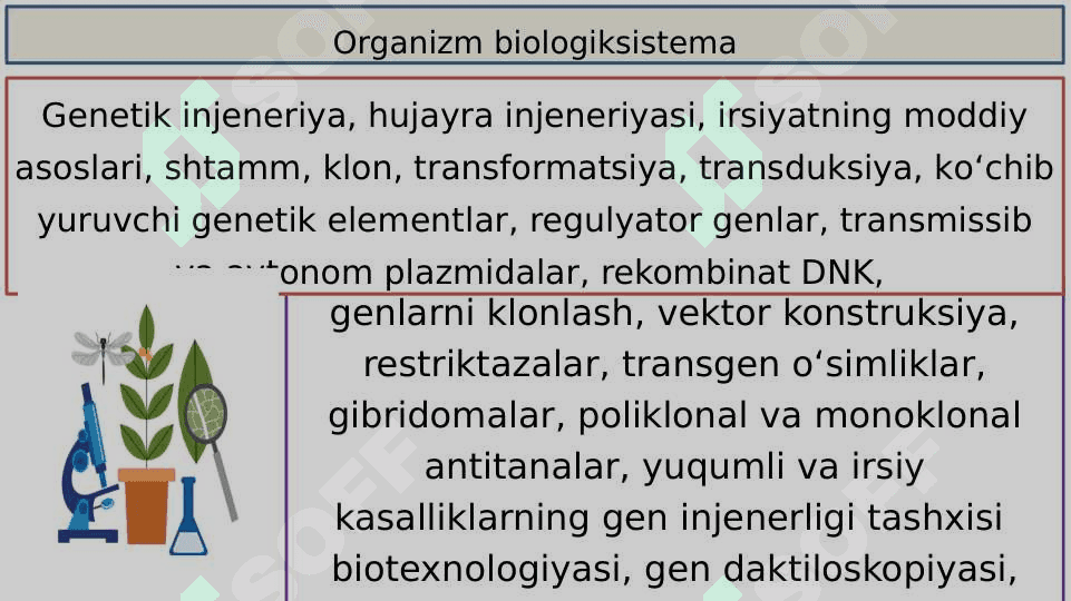 Biologik tushunchalar to'g'risida ma'lumot 4