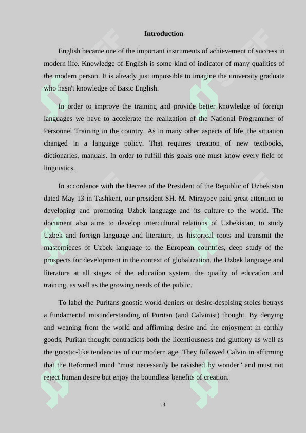 American Puritanism and Literature 3