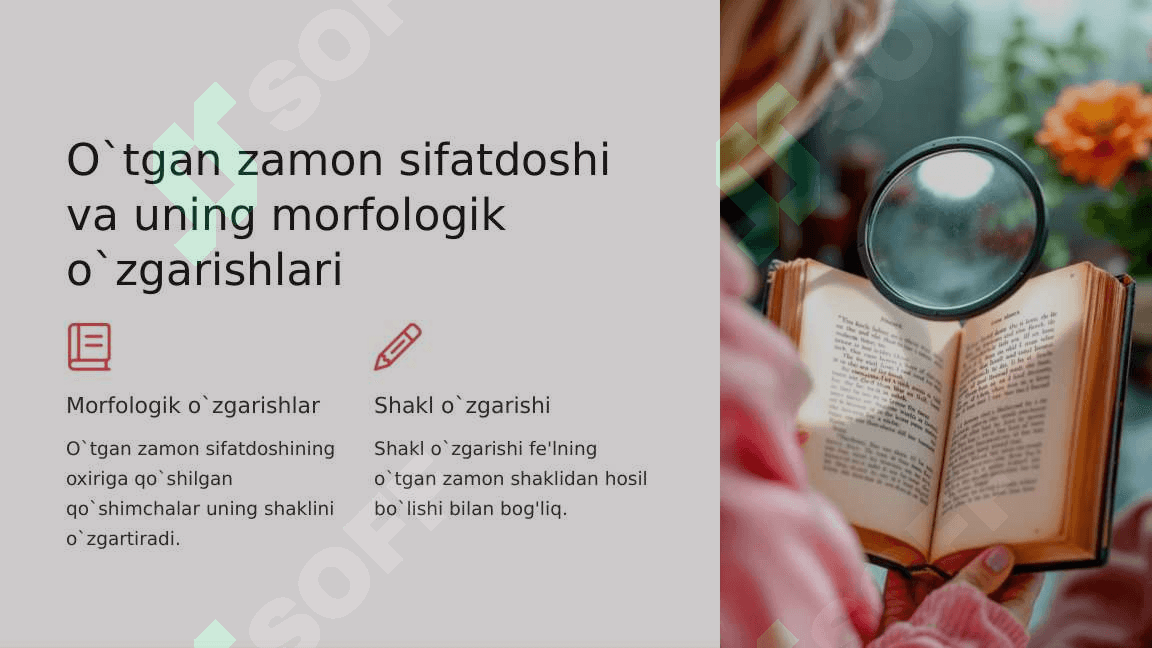 Anatomik va gistalogik nomenklaturalarida qo'llaniladigan otgan zamon sifatdoshining majhurlik nisbati. (sercumflexsus-egilgan, perfarantus-teshilgan) 7