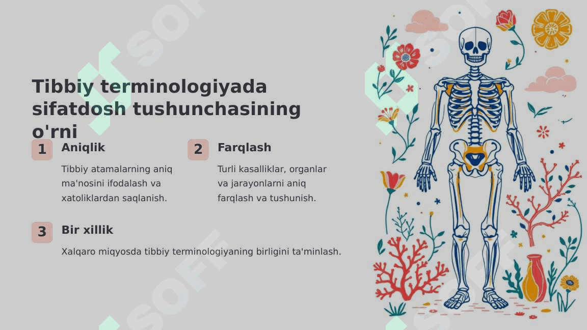Anotomik va gistologik nomenklaturalarida qo`llanilgan hozirgi zamon sifatdoshining aniqlik nisbati. (abdusius-uzoqlashuvchi, perfarans-yoruluvchi) 4