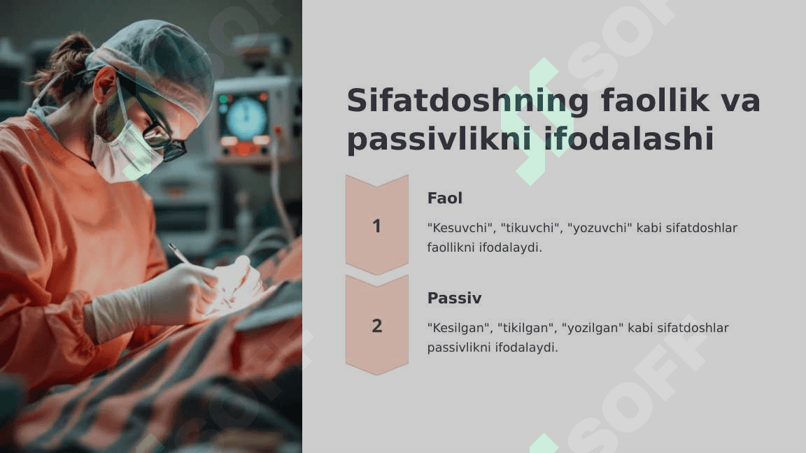 Anotomik va gistologik nomenklaturalarida qo`llanilgan hozirgi zamon sifatdoshining aniqlik nisbati. (abdusius-uzoqlashuvchi, perfarans-yoruluvchi) 8