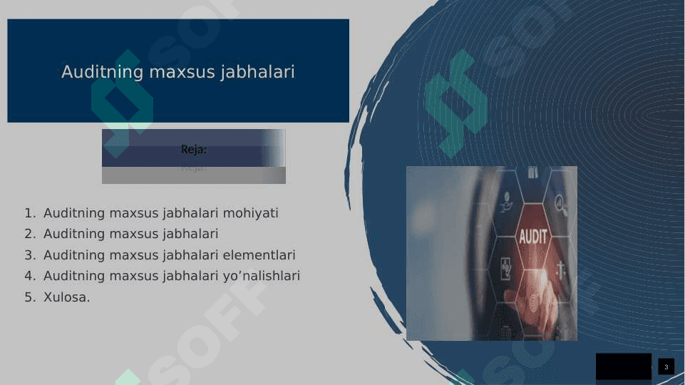 Auditning  maxsus  jabhalari 3