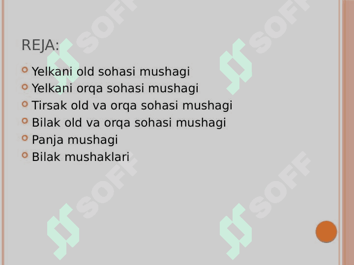 Yelka bilak va qoʻl panja mushaklari va fastiyalari qoʻl topogirafiyasi 2