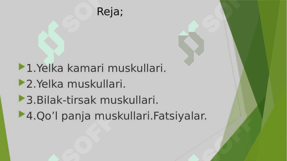 Yelka bilak qo’l panja muskullari va fatsiyalari 2
