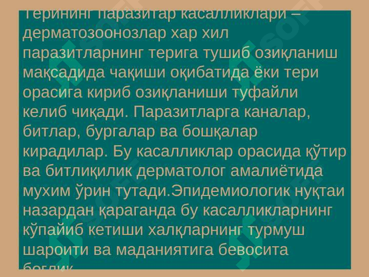 QO`TIR. TERI TUZILISHI VA MORFOLOGIK ELEMENTLARI 3