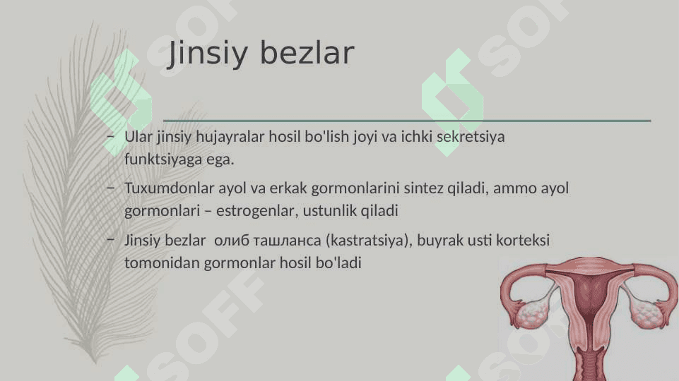 Ayol jinsiy gormonlari 2
