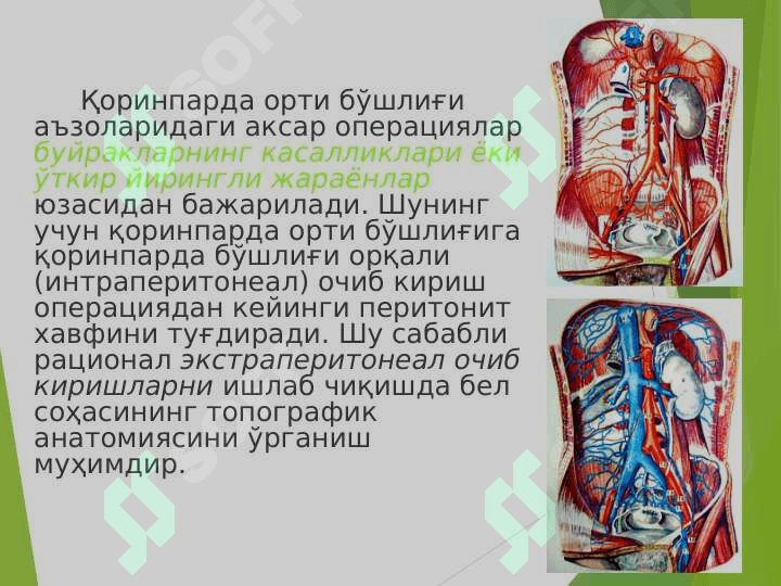 BЕL SOHASINING KLINIK ANATOMIYASI. 2