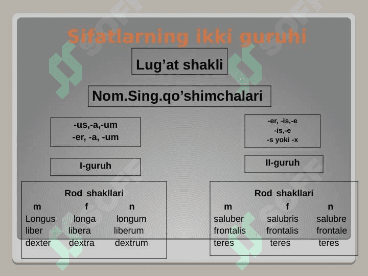 Sifat so’z turkumi va uning grammatik kategoriyalari. Moslashgan aniqlovchi ishtirokida anatomik terminlar 3