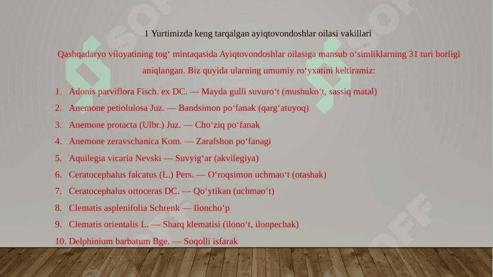 Ayiqtovondoshlar  oilasi 6