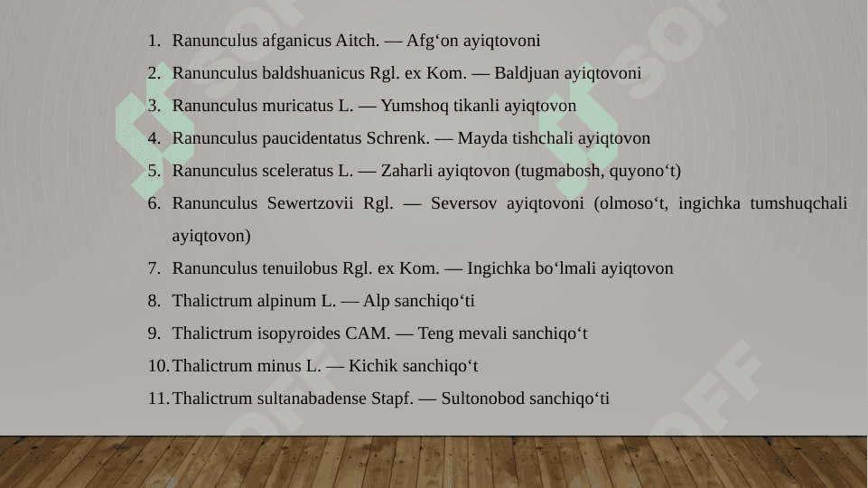 Ayiqtovondoshlar  oilasi 8