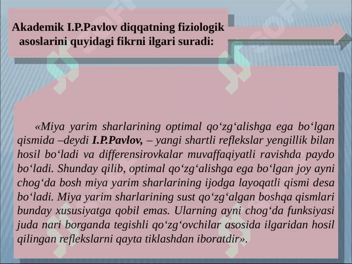 DIQQAT 7