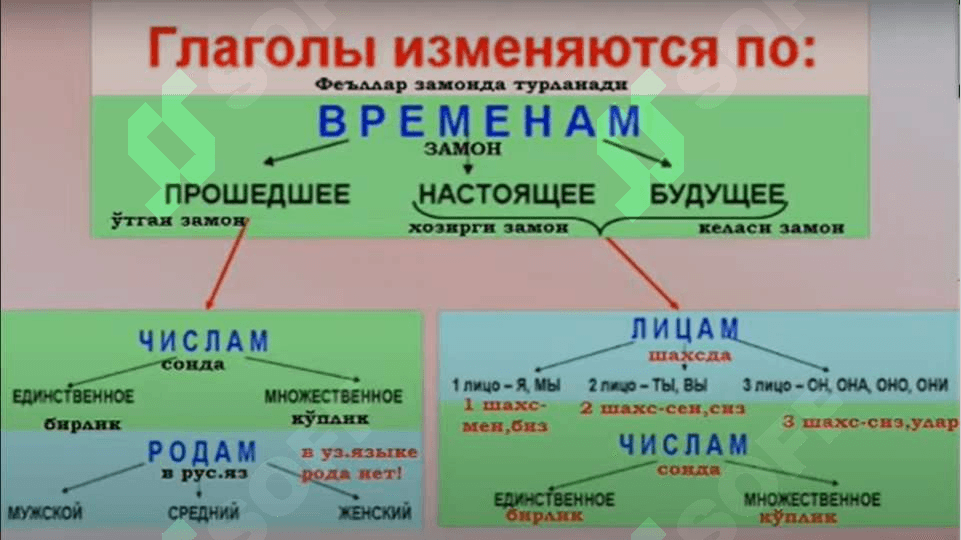 Глагол. Грамматические категории глагола в  русском и узбекском языках 8