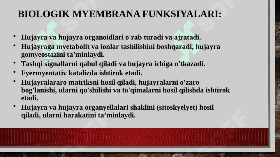 Hujayra membranalarining tuzilishi va vazifalari 2