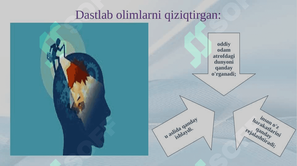 Klinik psixologiyaning ilmiy tekshirish faoliyat sohalari.  20.pptx 3