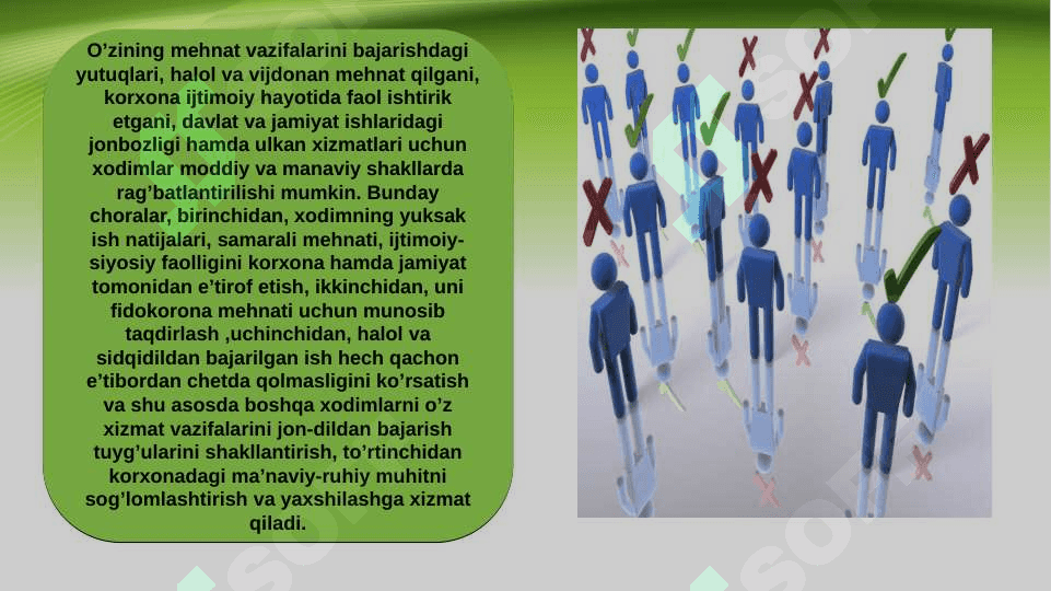 Mexnatga asosiy va qo’shimcha ish haqi xamda moddiy ragbatlantirish ko’rsatkichlarini baholash 3