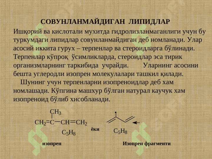 Lipidlar . Sovunlanmaydigan lipidlar . Terpenlar va steroidlar . ЛИПИДЛАР . СOВУНЛАНМАЙДИГАН ЛИПИДЛАР . ТЕРПЕНЛАР ВА СТЕРОИДЛАР 3