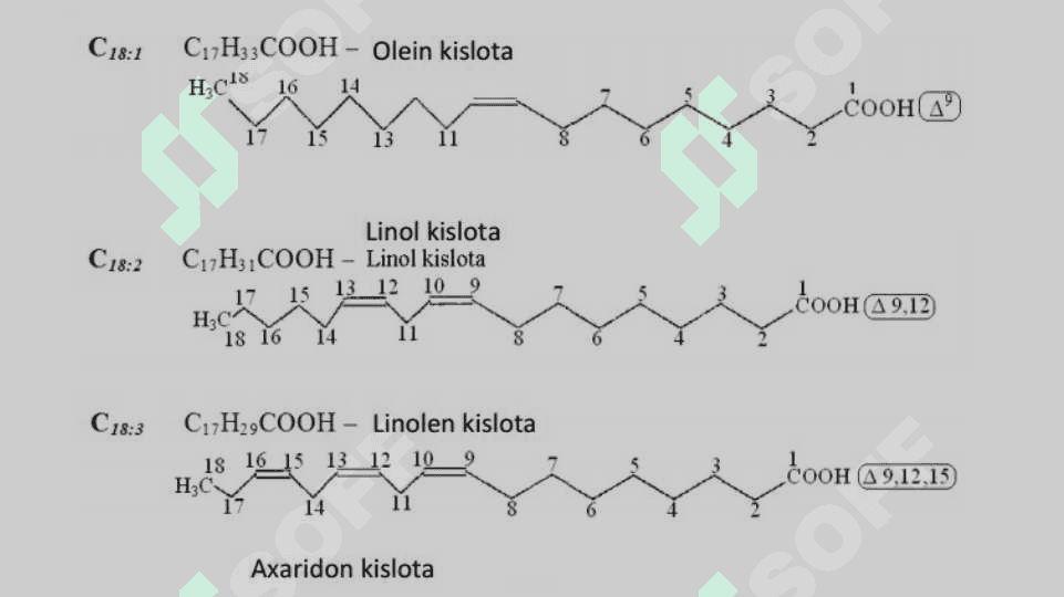 Lipidlar . Lipidlarning klassifikatsiyasi . Triglitseridlar . Fosfolipidlar . Sfingolipidlar Glikolipidlar 8