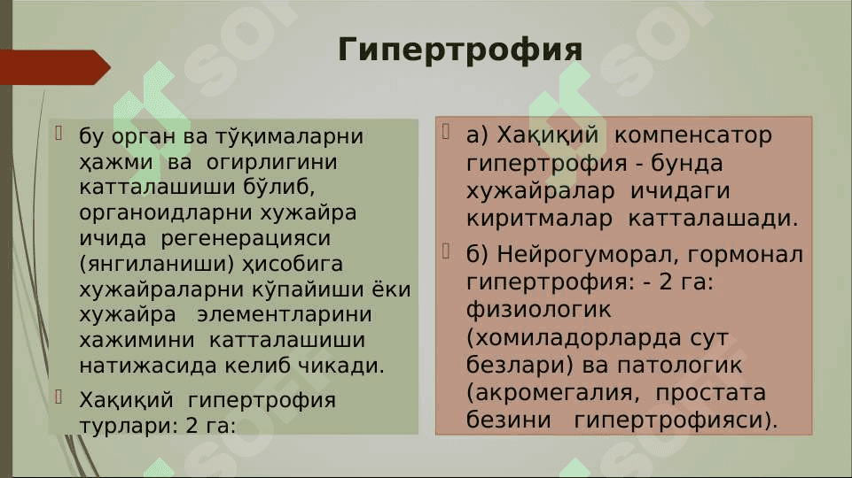 O`sma hujayralarini kelib chiqishidagi ahamiyati .  Усма  хужайраларини келиб чикишидаги ахамияти 3
