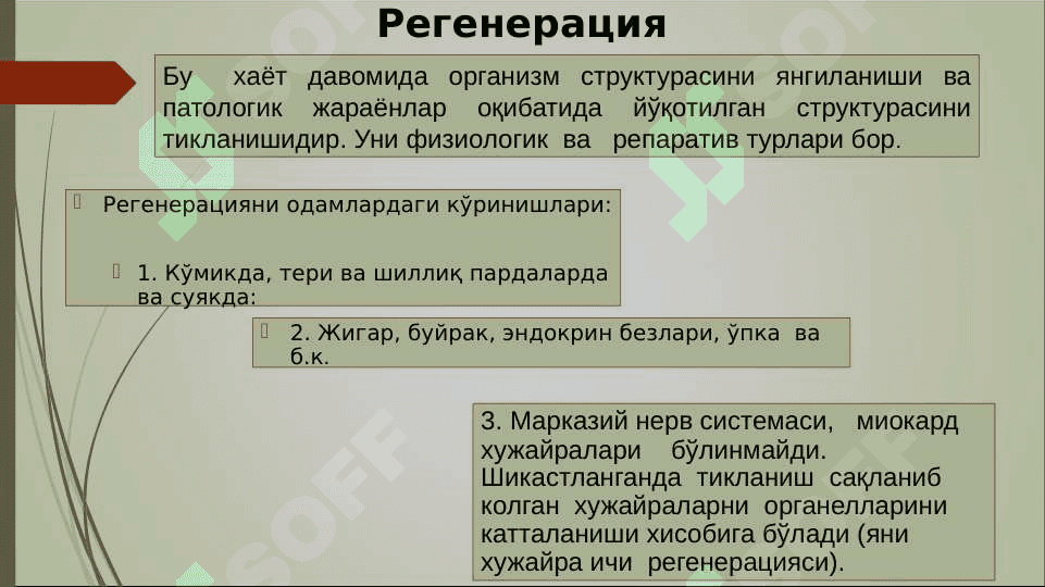 O`sma hujayralarini kelib chiqishidagi ahamiyati .  Усма  хужайраларини келиб чикишидаги ахамияти 4