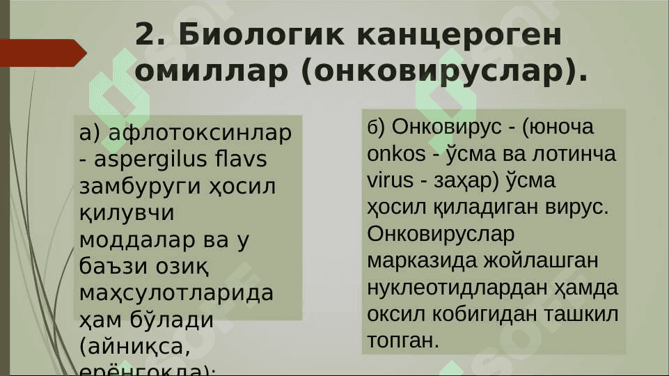 O`sma hujayralarini kelib chiqishidagi ahamiyati .  Усма  хужайраларини келиб чикишидаги ахамияти 8