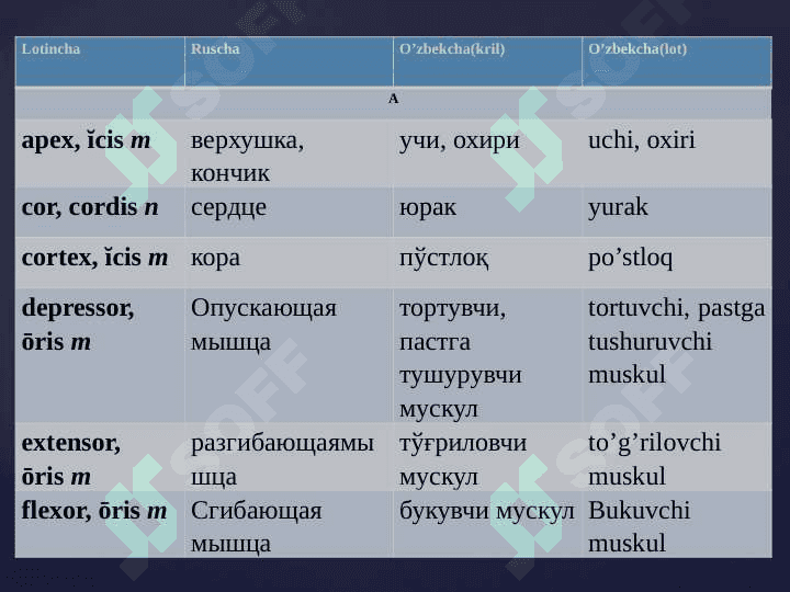 Otlarning turlanishi . 3 - turlanish Masculinum . III - turlanishdagi mujskoy roddagi otlar 5