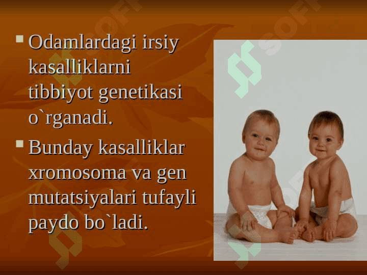 IRSIY KASALLIKLAR VA ULARNING OLDINI OLISH 2