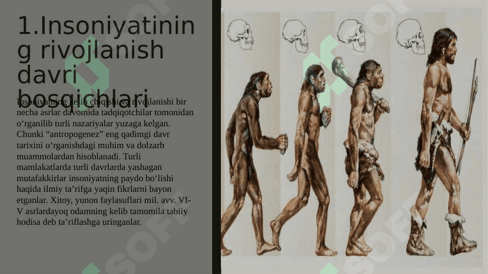 Insoniyatning tarixiy rivojlanishida ibtidoiy to‘da davri 3