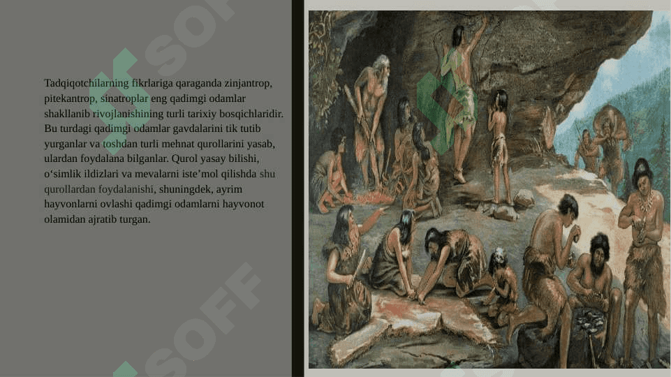 Insoniyatning tarixiy rivojlanishida ibtidoiy to‘da davri 4