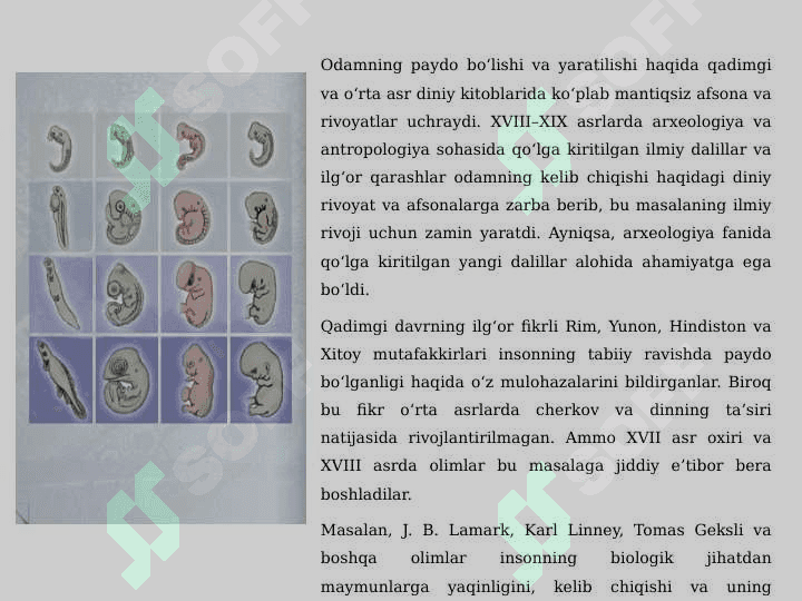 Odam evolyutsiyasi 5