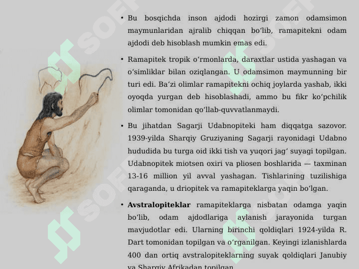 Odam evolyutsiyasi 8