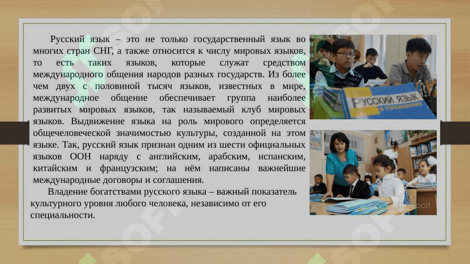 Статус русского языка в разных странах мира 3