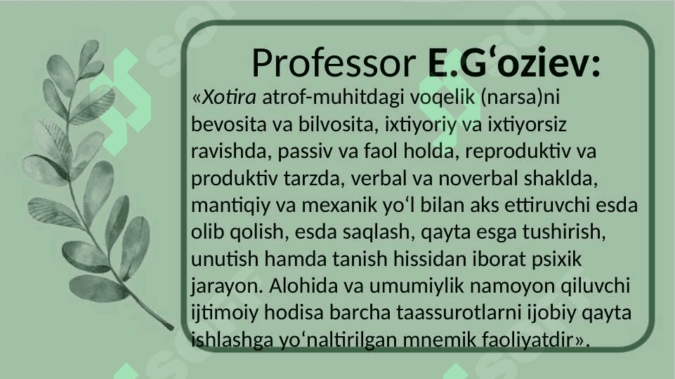 Xotira 4