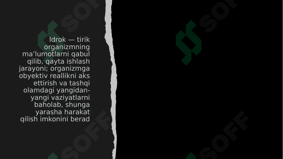 Idrok va xayol 3
