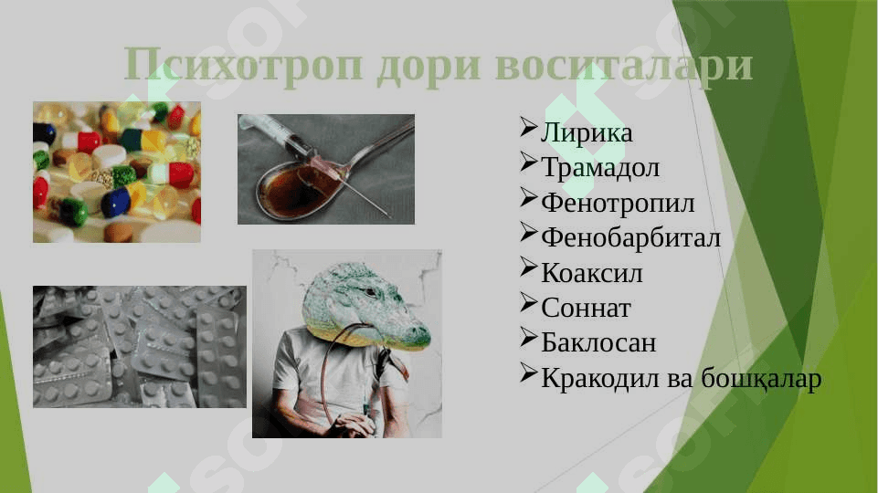 Гиёҳвандлик – умр заволи 8