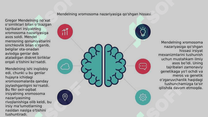 Irsiyatning xromasoma nazariyasi 4