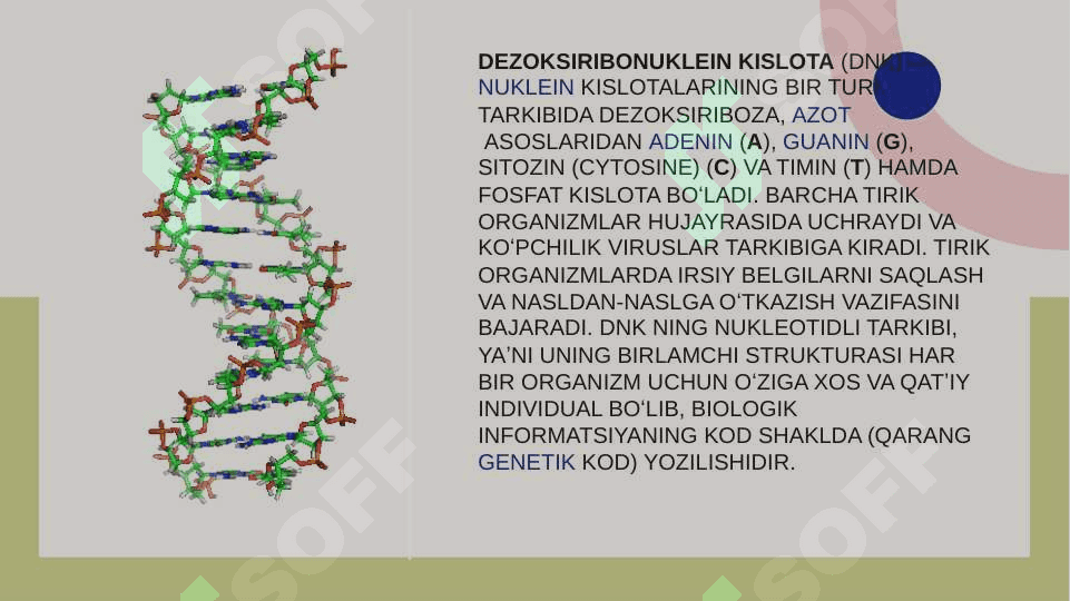 Umumiy genetika asosolari 3