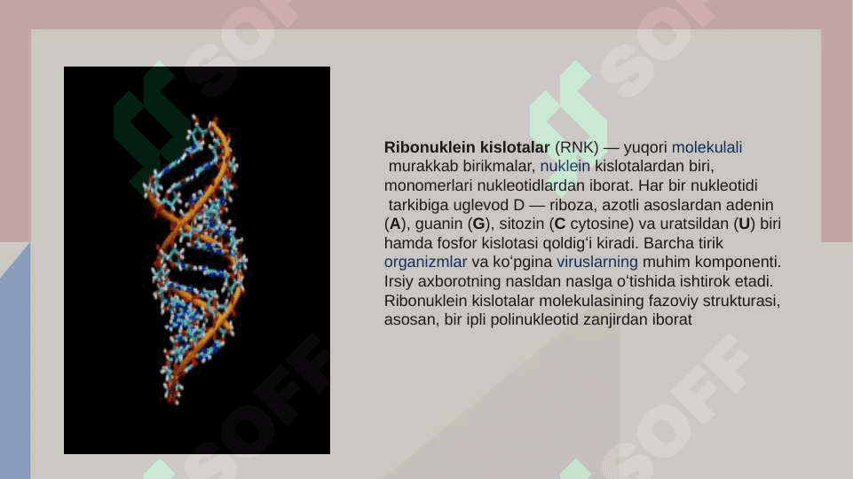 Umumiy genetika asosolari 4