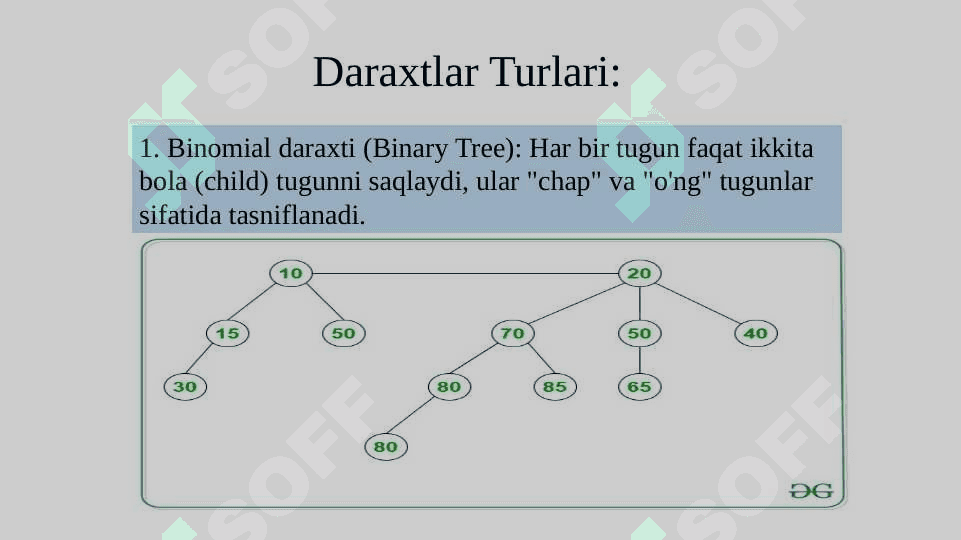 Daraxtsimon ma'lumotlar tuzilmalarini qayta ishlash algoritmlari va dasturlarini tuzish 3