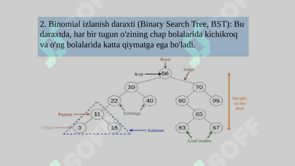 Daraxtsimon ma'lumotlar tuzilmalarini qayta ishlash algoritmlari va dasturlarini tuzish 4