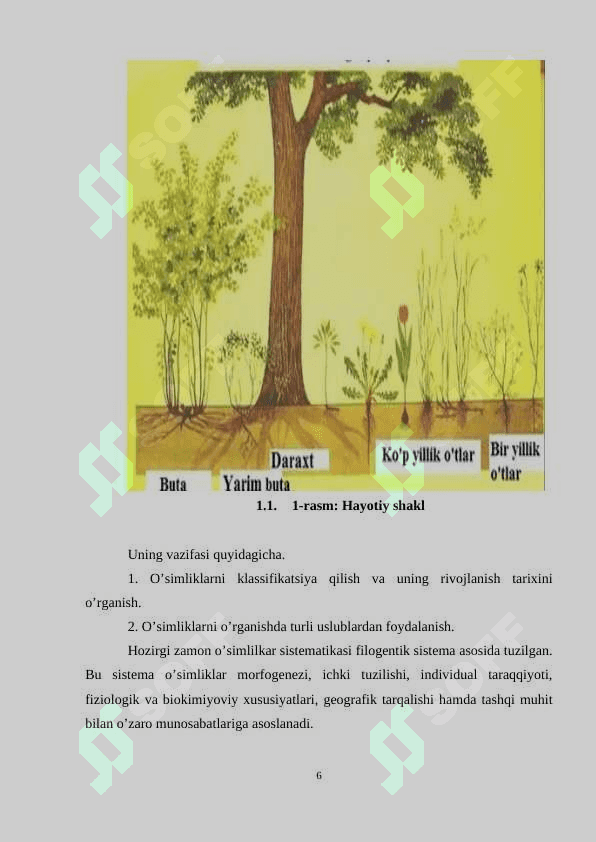 O’SIMLIKLARNI HAYOTIY SHAKLLARI RAUNKER VA SEREBYAKOVLARING KLASSIFIKATSIYASI 6