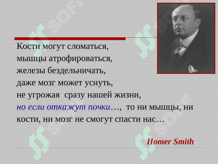 Bolalarda glomerulonefritlar . БОЛАЛАРДА ГЛОМЕРУЛОНЕФРИТЛАР . GLOMERULONEPHRITIS AT CHILDREN 3